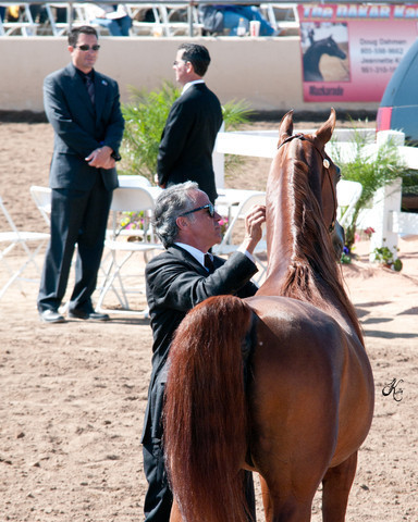2011 Scottsdale Arabian Horse Show