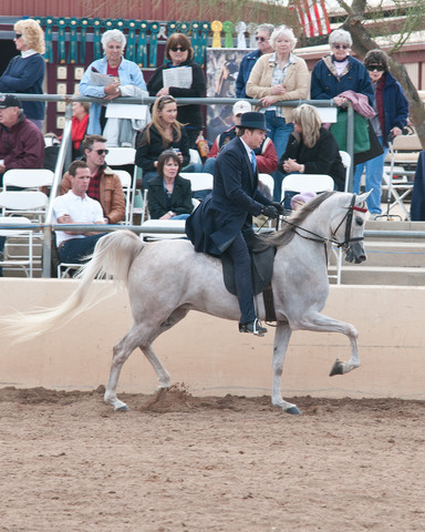 2011 Scottsdale Arabian Horse Show