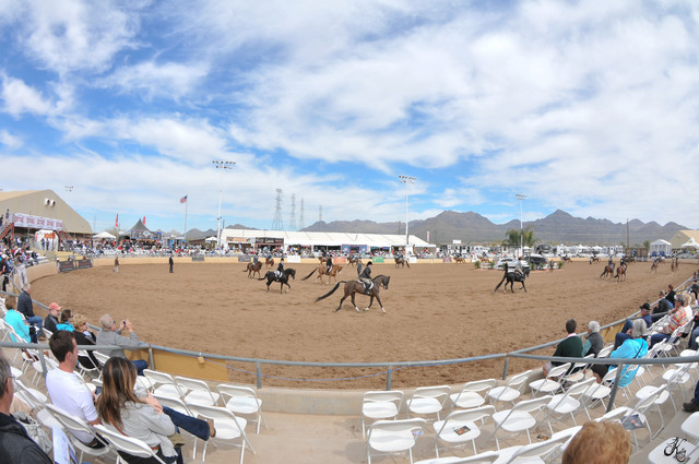 2011 Scottsdale Arabian Horse Show