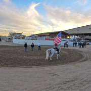 2011 Scottsdale Arabian Horse Show