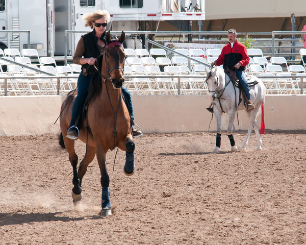 2011 Scottsdale Arabian Horse Show