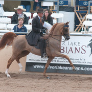 2011 Scottsdale Arabian Horse Show