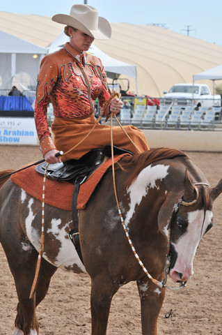 2011 Scottsdale Arabian Horse Show