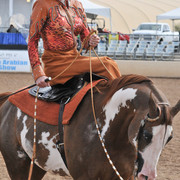 2011 Scottsdale Arabian Horse Show