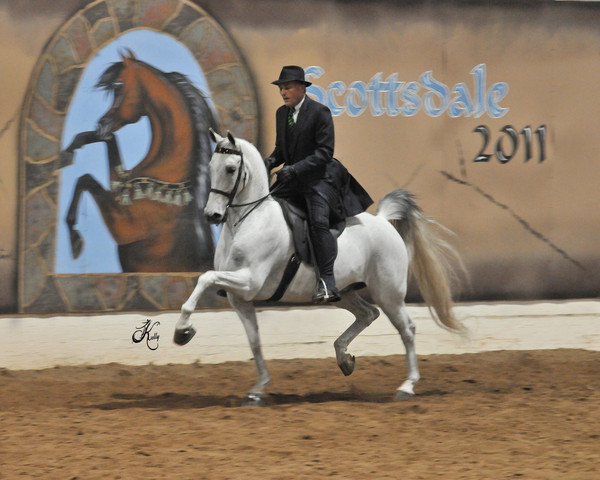 2011 Scottsdale Arabian Horse Show
