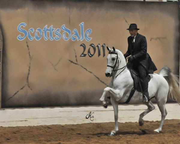 2011 Scottsdale Arabian Horse Show