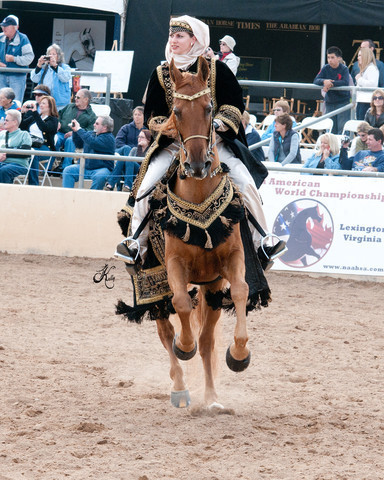 2011 Scottsdale Arabian Horse Show