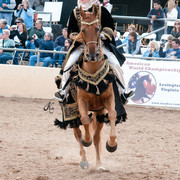 2011 Scottsdale Arabian Horse Show