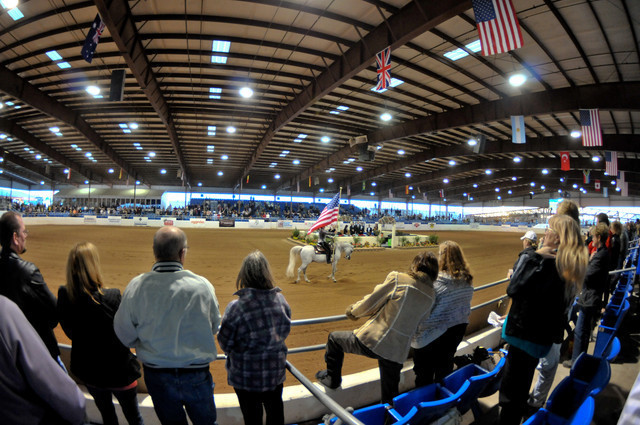 2011 Scottsdale Arabian Horse Show
