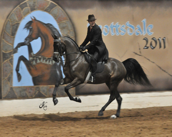 2011 Scottsdale Arabian Horse Show