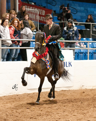 2011 Scottsdale Arabian Horse Show