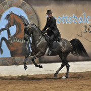 2011 Scottsdale Arabian Horse Show