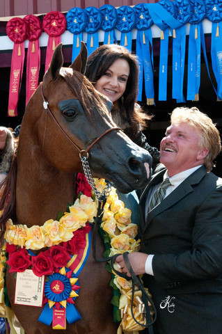 2011 Scottsdale Arabian Horse Show