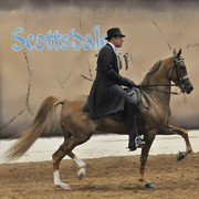 2011 Scottsdale Arabian Horse Show