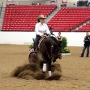 2011 Breeders World Cup | Kids Day