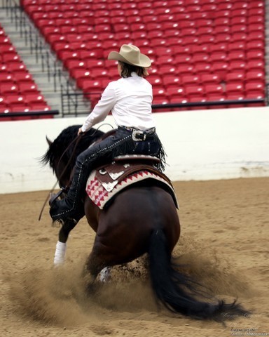 2011 Breeders World Cup | Kids Day