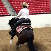 2011 Breeders World Cup | Kids Day