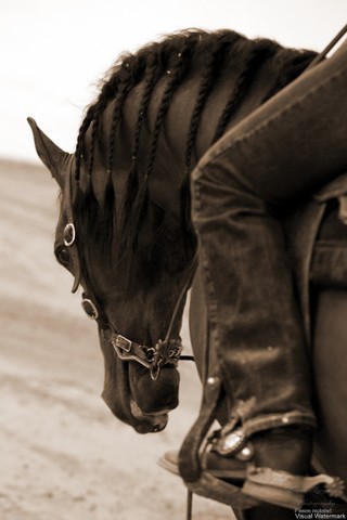 2011 Breeders World Cup | Kids Day