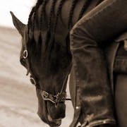 2011 Breeders World Cup | Kids Day