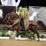 2011 Breeders World Cup | Kids Day