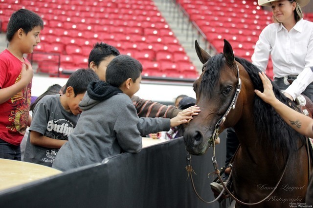 2011 Breeders World Cup | Kids Day