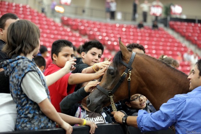 2011 Breeders World Cup | Kids Day
