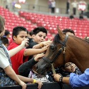2011 Breeders World Cup | Kids Day
