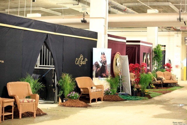 2011 Breeders World Cup | Kids Day