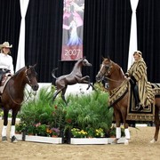 2011 Breeders World Cup | Kids Day