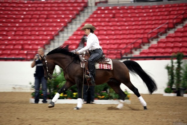 2011 Breeders World Cup | Kids Day