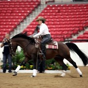 2011 Breeders World Cup | Kids Day