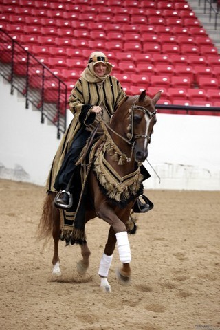 2011 Breeders World Cup | Kids Day