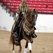 2011 Breeders World Cup | Kids Day