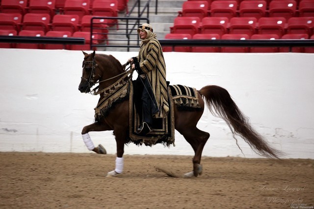 2011 Breeders World Cup | Kids Day