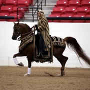 2011 Breeders World Cup | Kids Day