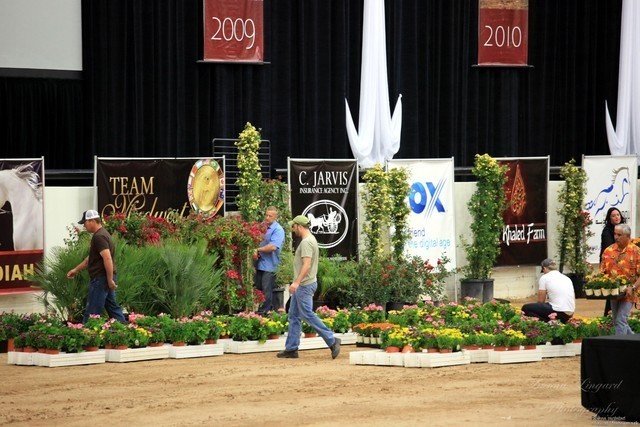 2011 Breeders World Cup | Kids Day