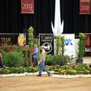 2011 Breeders World Cup | Kids Day