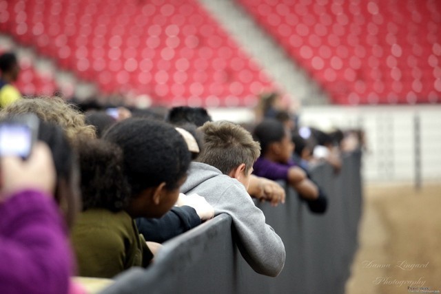 2011 Breeders World Cup | Kids Day