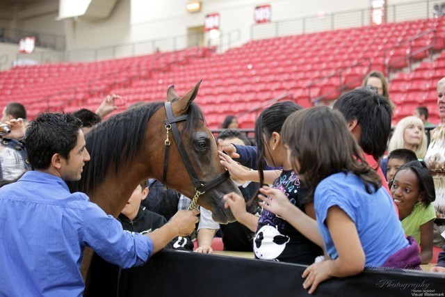 2011 Breeders World Cup | Kids Day