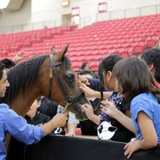 2011 Breeders World Cup | Kids Day