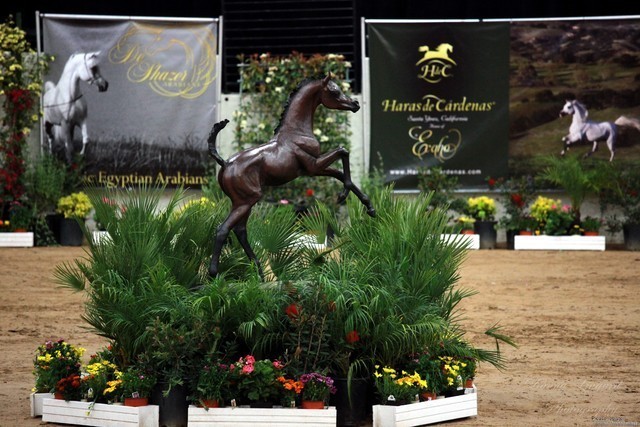 2011 Breeders World Cup | Kids Day