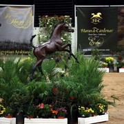 2011 Breeders World Cup | Kids Day