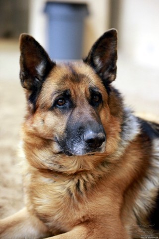 2011 Breeders World Cup | Kids Day