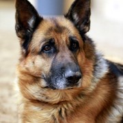 2011 Breeders World Cup | Kids Day