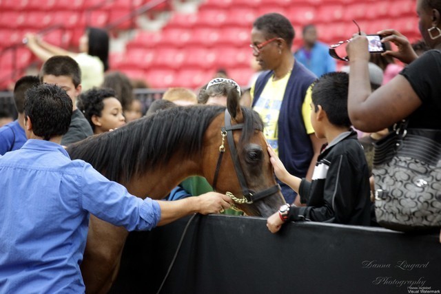 2011 Breeders World Cup | Kids Day