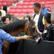 2011 Breeders World Cup | Kids Day
