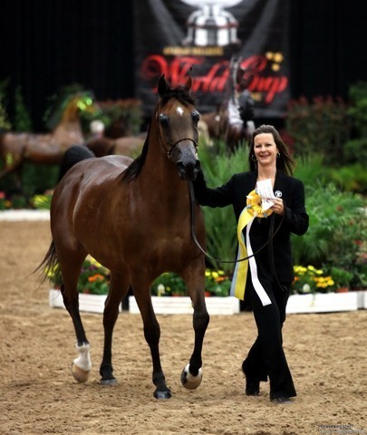 2011 Breeders World Cup | Day 1