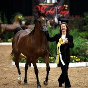 2011 Breeders World Cup | Day 1
