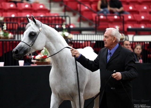2011 Breeders World Cup | Day 1
