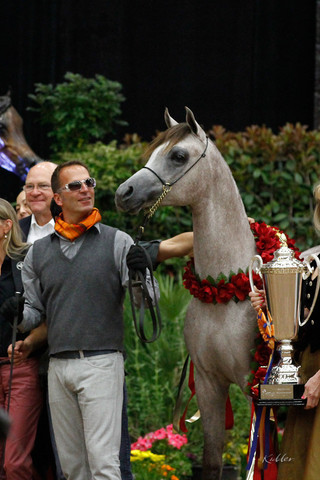 2011 Arabian Breeders World Cup | Kidder